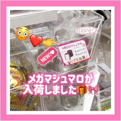 💝メガマシュマロ入荷しました💝