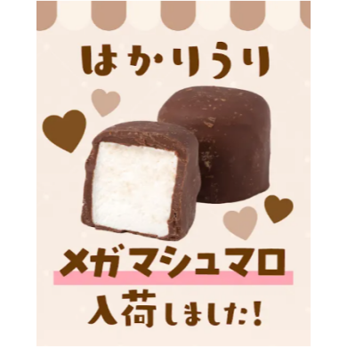 秋冬限定🌟メガマシュマロ入荷しました🍫