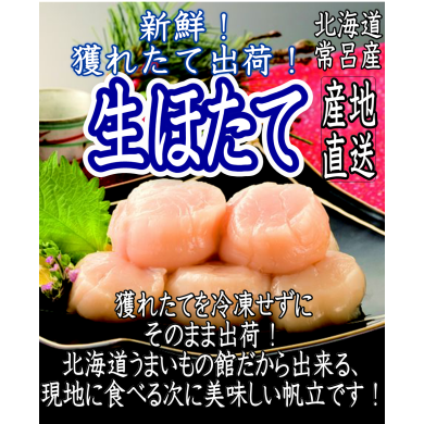 北海道常呂産『生ほたて』初入荷！！