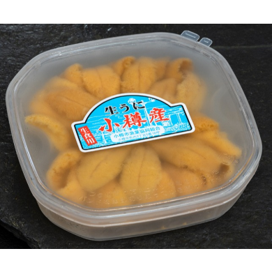 数量限定入荷！！小樽産塩水生ウニ！