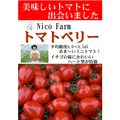 あま～いミニトマト🍅トマトベリー再入荷🍅