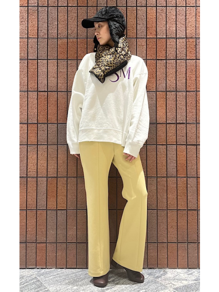 シップス