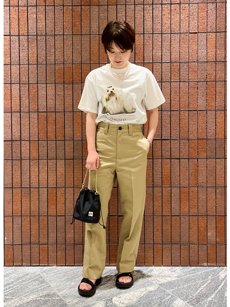シップス