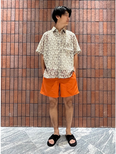 シップス