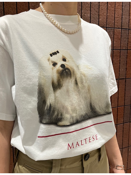 キュートなプリントTシャツ
