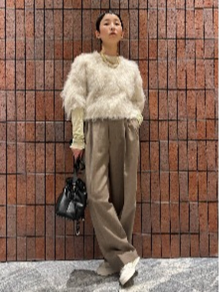 シップス
