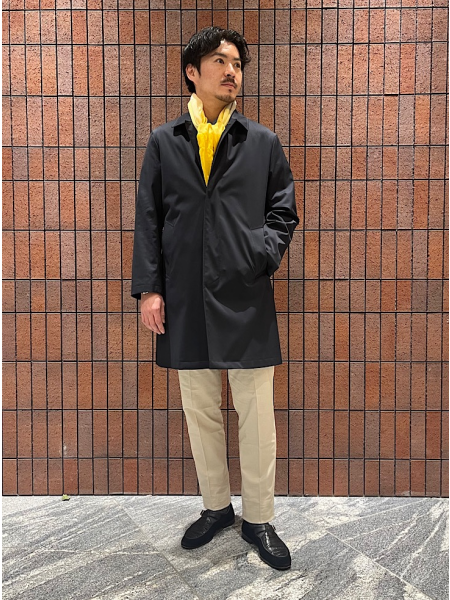 シップス