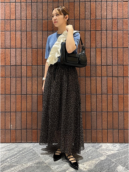 シップス