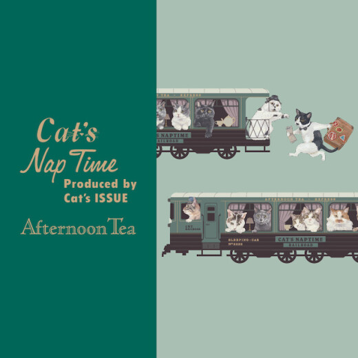【2/22発売🐈】Cat’s Nap Timeシリーズ第10弾！